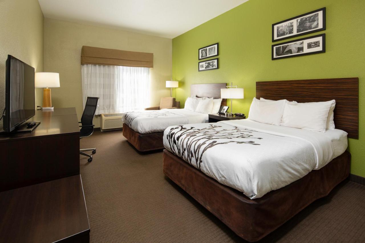 Double Room with Two Double Beds - Non-Smoking,1693293941:JPEG